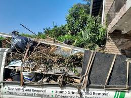 Best Dumpster Rental Services  in Great Neck Gardens, NY